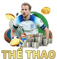 Cá cược Thể Thao 13 vin